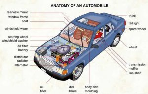 Important Automotive Parts Vocabulary Before Purchasing